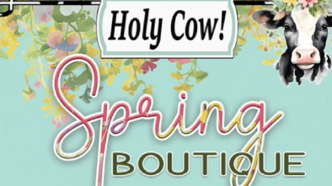 Holy Cow Boutique