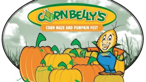 Cornbelly’s Corn Maze & Pumpkin Fest