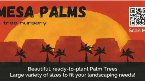 Mesa Palms